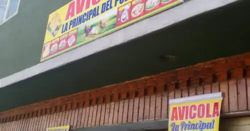 AVICOLA LA PRINCIPAL DEL POLLO AVICOLA LA PRINCIPAL DEL POLLO